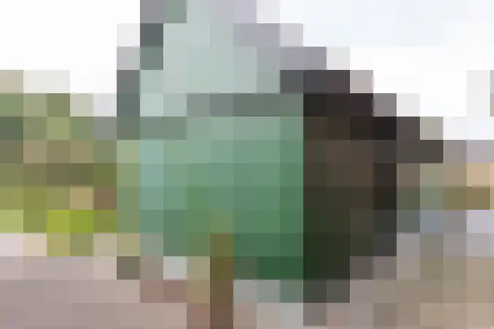 Ruurloseweg 22 Vorden thumbnail 44