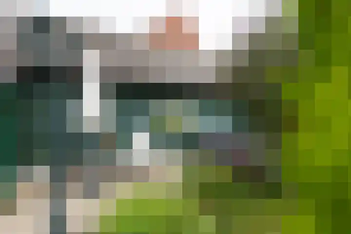 Ruurloseweg 22 Vorden thumbnail 49