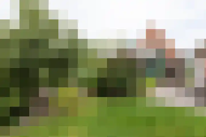Ruurloseweg 22 Vorden thumbnail 5