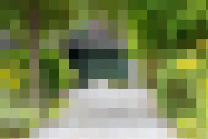 Ruurloseweg 22 Vorden thumbnail 53