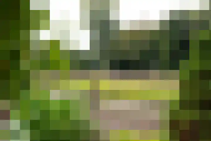 Ruurloseweg 22 Vorden thumbnail 54