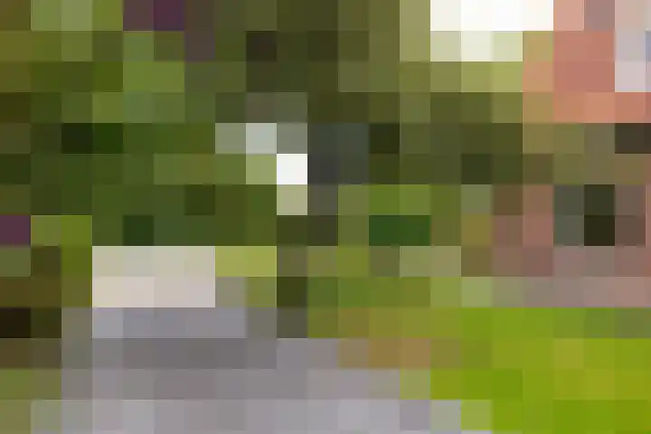 Ruurloseweg 22 Vorden thumbnail 55