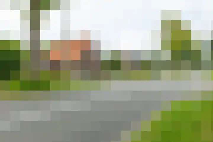Ruurloseweg 22 Vorden thumbnail 59