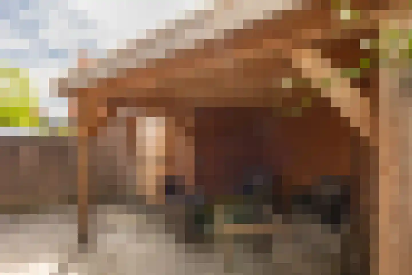 Ruurloseweg 23 Groenlo thumbnail 4