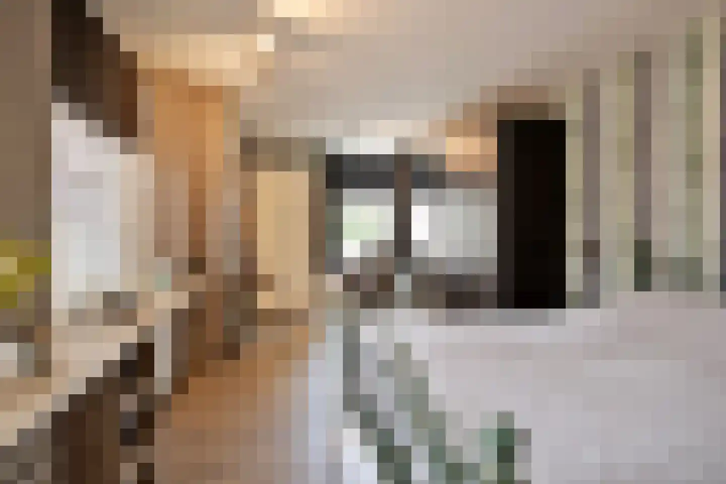 Ruurloseweg 26 Vorden thumbnail 18