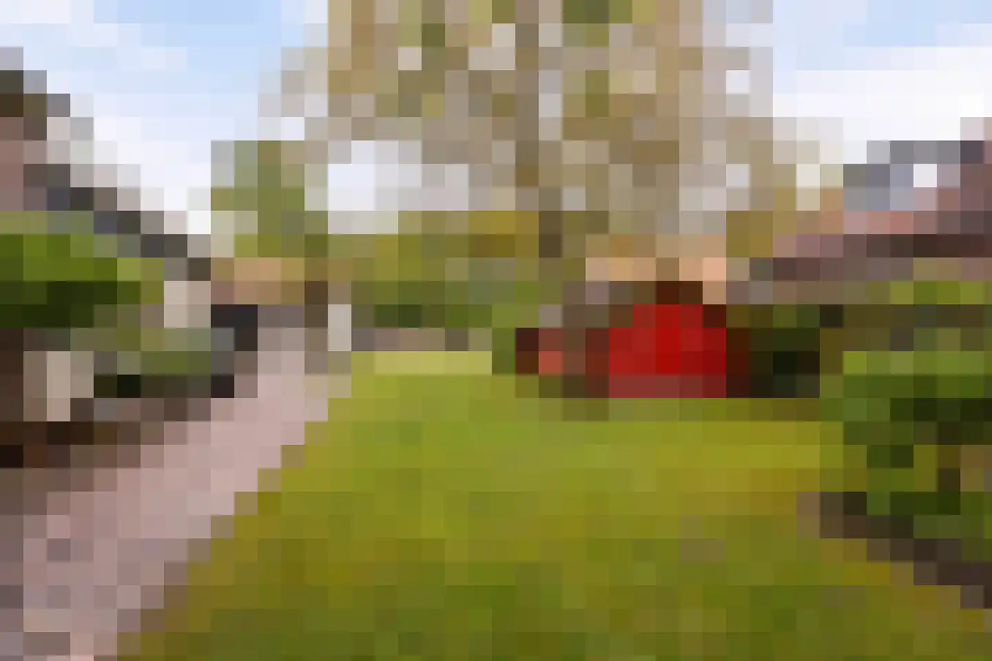 Ruurloseweg 26 Vorden thumbnail 33
