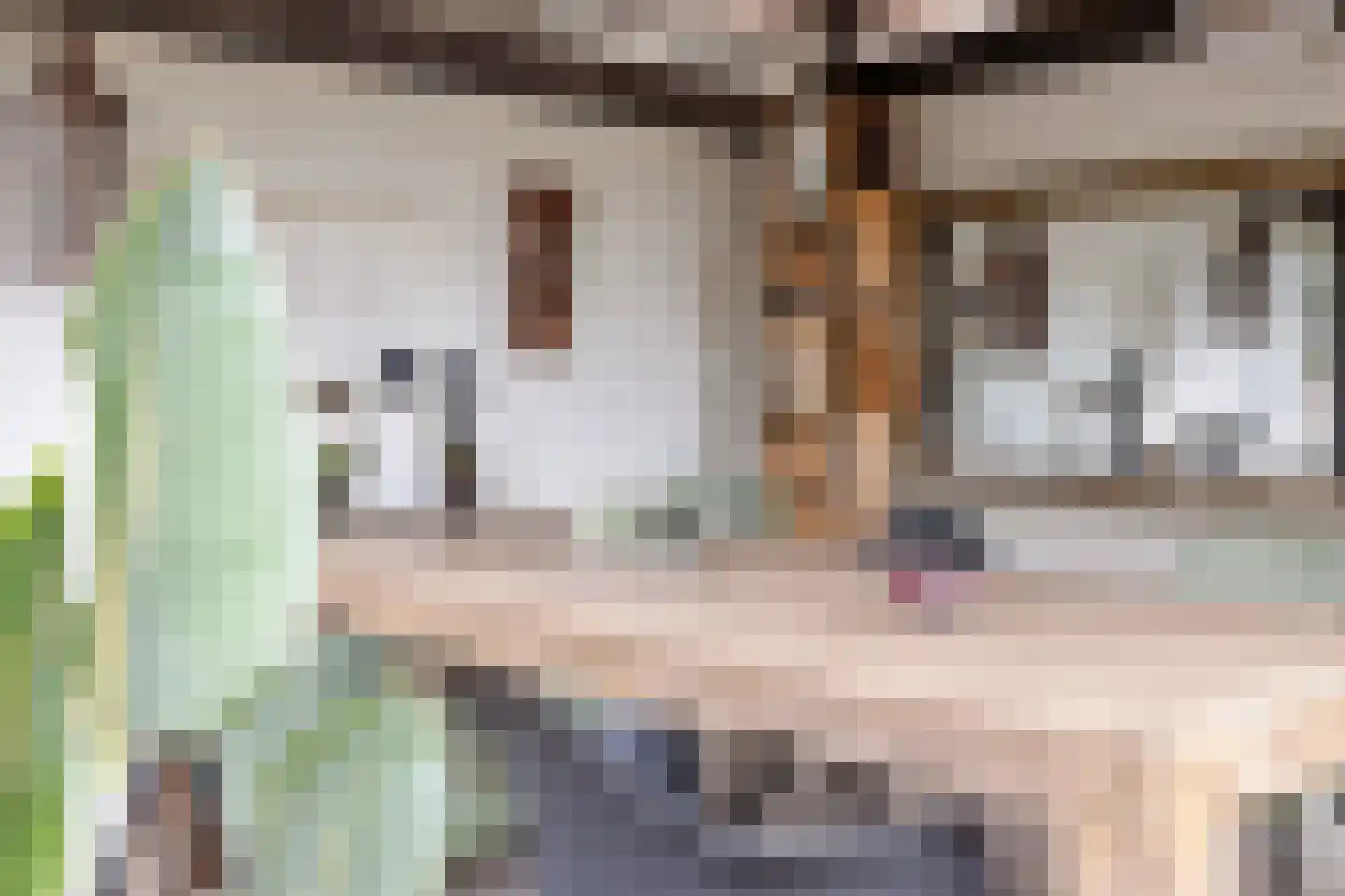 Ruurloseweg 26 Vorden thumbnail 36