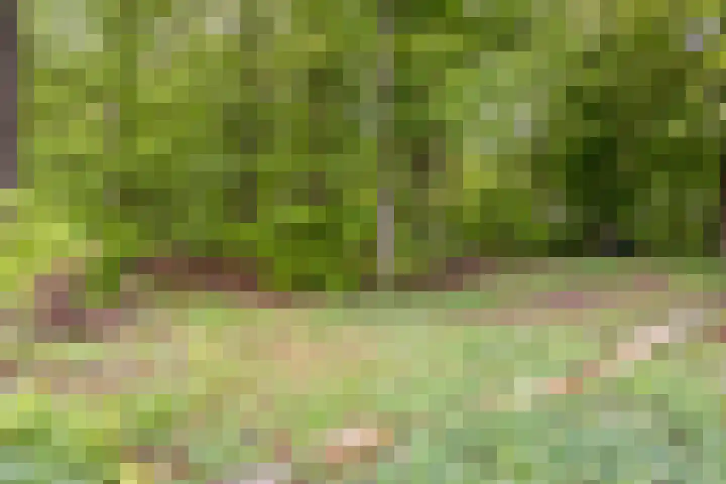 Ruurloseweg 26 Vorden thumbnail 40