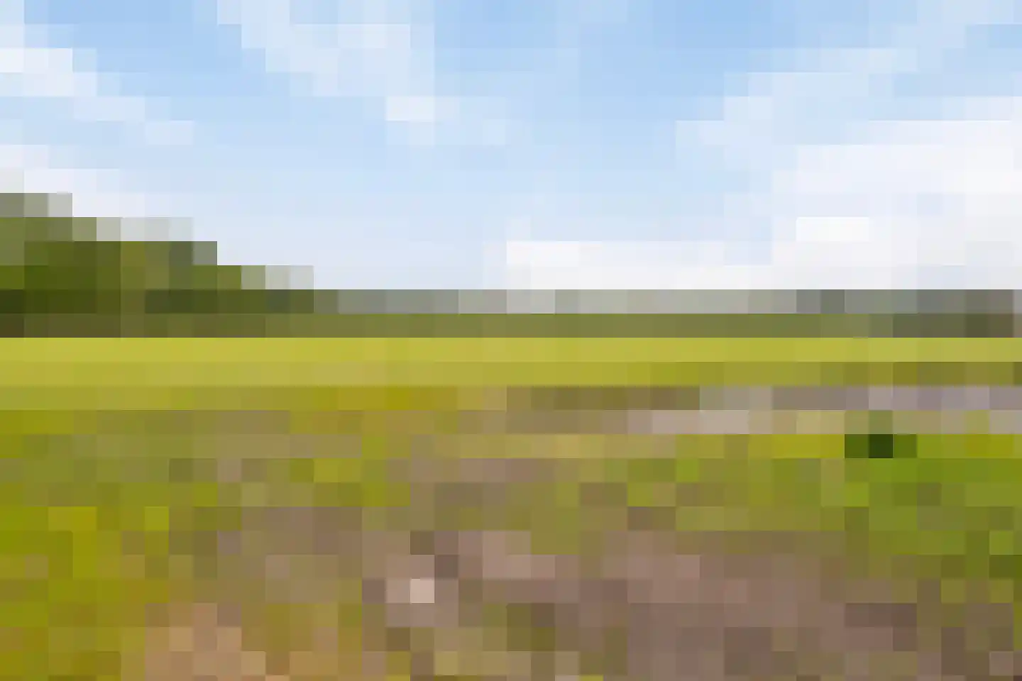 Ruurloseweg 26 Vorden thumbnail 41