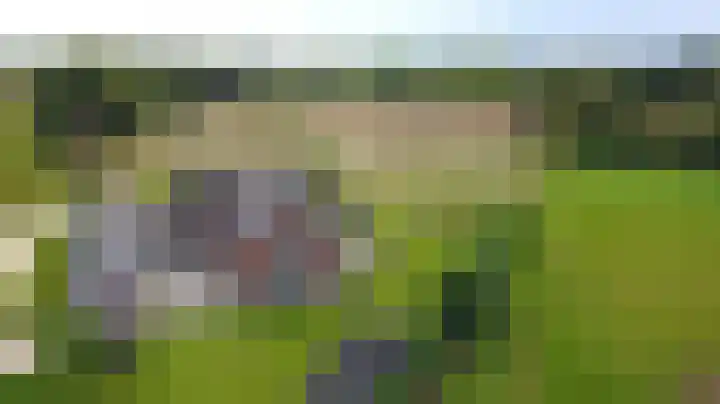 Ruurloseweg 29 in Zelhem