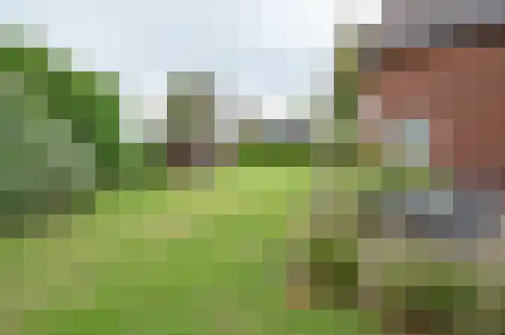 Ruurloseweg 29 Zelhem thumbnail 34