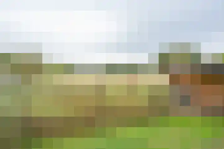 Ruurloseweg 29 Zelhem thumbnail 37