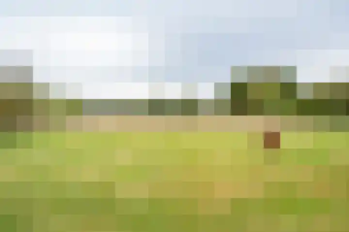 Ruurloseweg 29 Zelhem thumbnail 38