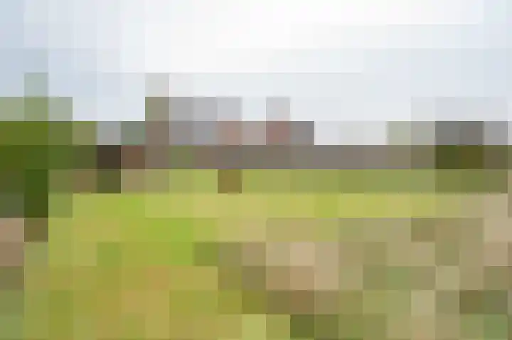 Ruurloseweg 29 Zelhem thumbnail 39