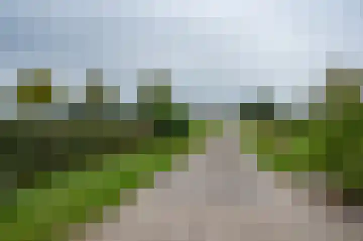 Ruurloseweg 29 Zelhem thumbnail 42
