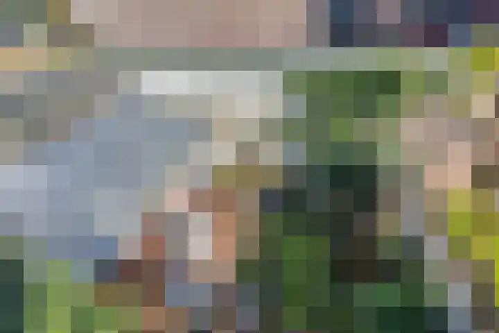 Ruurloseweg 3 Barchem thumbnail 33