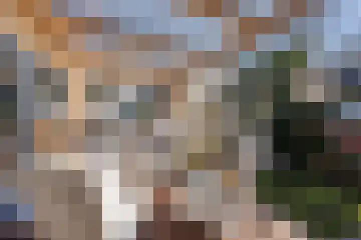 Ruurloseweg 3 Barchem thumbnail 34