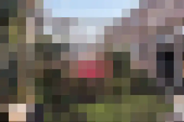 Ruurloseweg 3 Barchem thumbnail 36