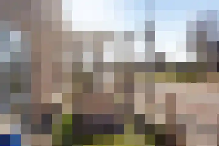 Ruurloseweg 3 Barchem thumbnail 4