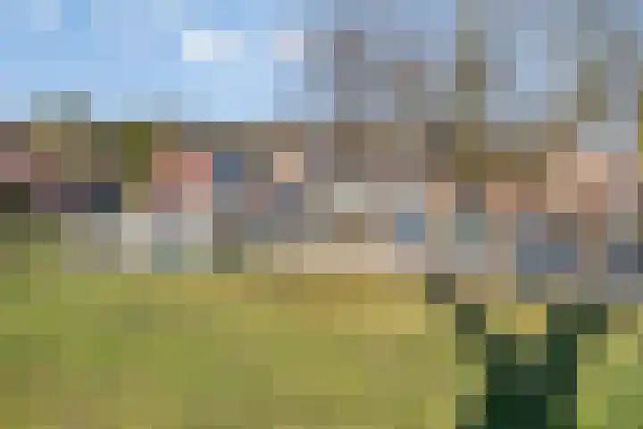 Ruurloseweg 3 Barchem thumbnail 41