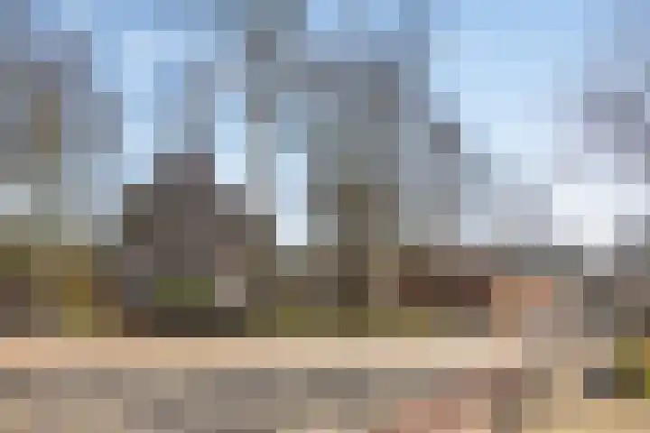 Ruurloseweg 3 Barchem thumbnail 42