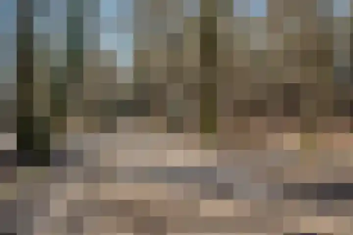 Ruurloseweg 3 Barchem thumbnail 43