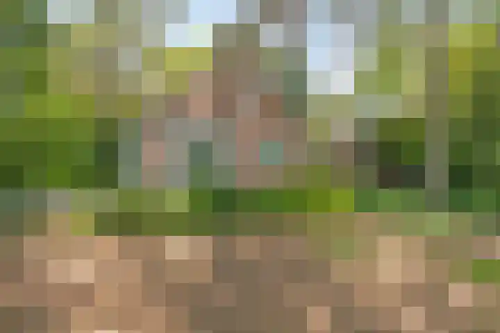 Ruurloseweg 30 V 03 Zelhem thumbnail 22