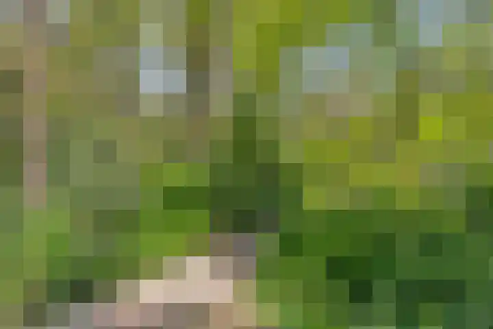Ruurloseweg 30 V 03 Zelhem thumbnail 23