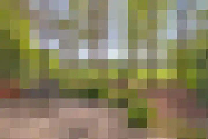 Ruurloseweg 30 V 03 Zelhem thumbnail 25