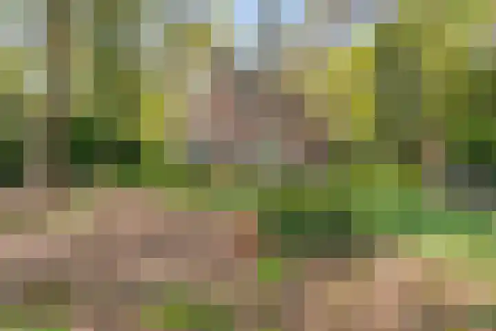 Ruurloseweg 30 V 03 Zelhem thumbnail 27
