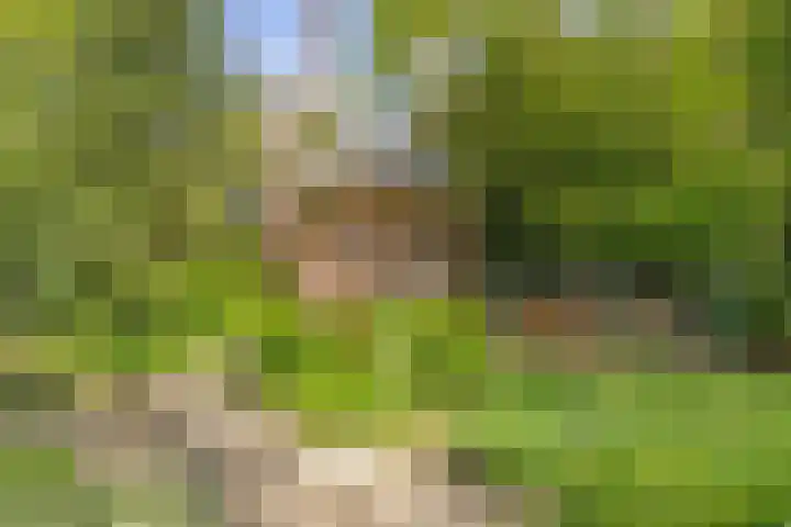 Ruurloseweg 30 V 03 Zelhem thumbnail 28