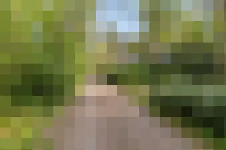 Ruurloseweg 30 V 03 Zelhem thumbnail 30