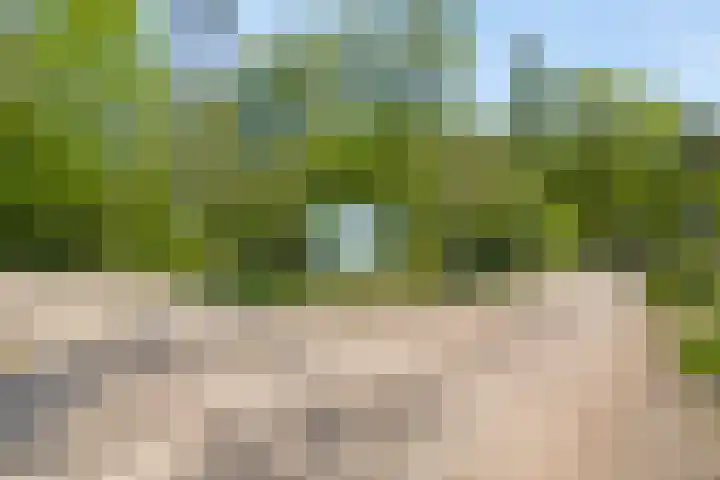 Ruurloseweg 30 V 03 Zelhem thumbnail 31
