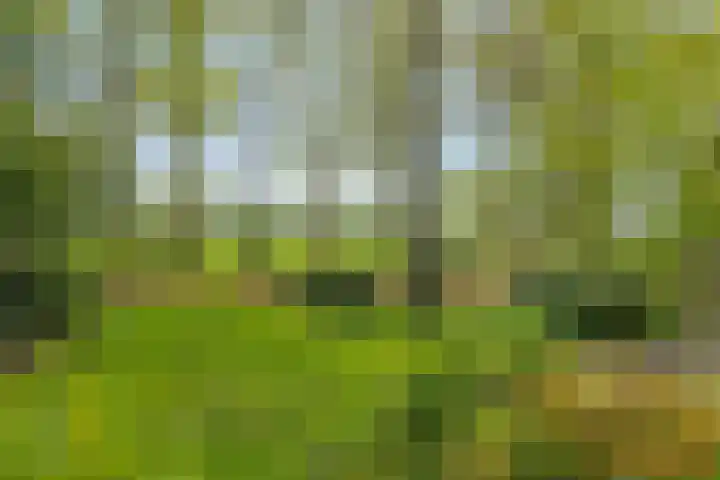 Ruurloseweg 30 V 03 Zelhem thumbnail 4