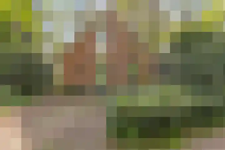 Ruurloseweg 30 V 03 Zelhem thumbnail 5