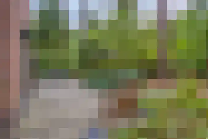 Ruurloseweg 30 V 49 Zelhem thumbnail 23