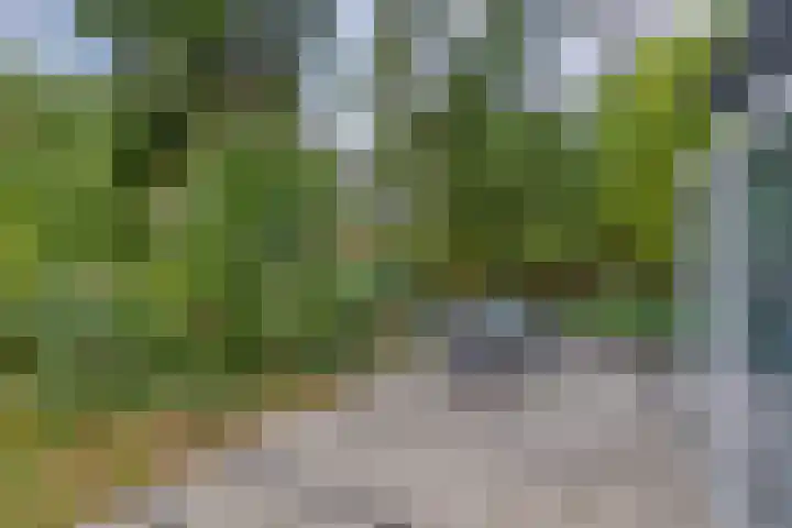 Ruurloseweg 30 V 49 Zelhem thumbnail 24