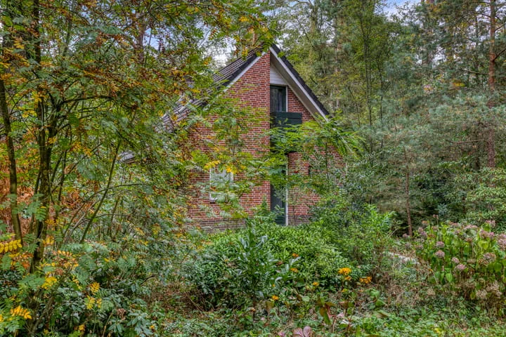 Ruurloseweg 30 V 49 Zelhem thumbnail 28