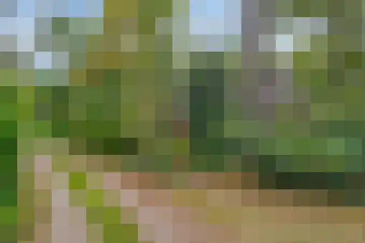 Ruurloseweg 30 V 49 Zelhem thumbnail 29