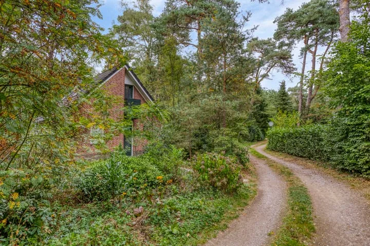Ruurloseweg 30 V 49 Zelhem thumbnail 30