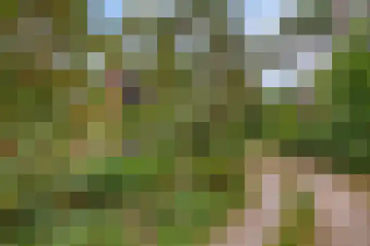 Ruurloseweg 30 V 49 Zelhem thumbnail 30