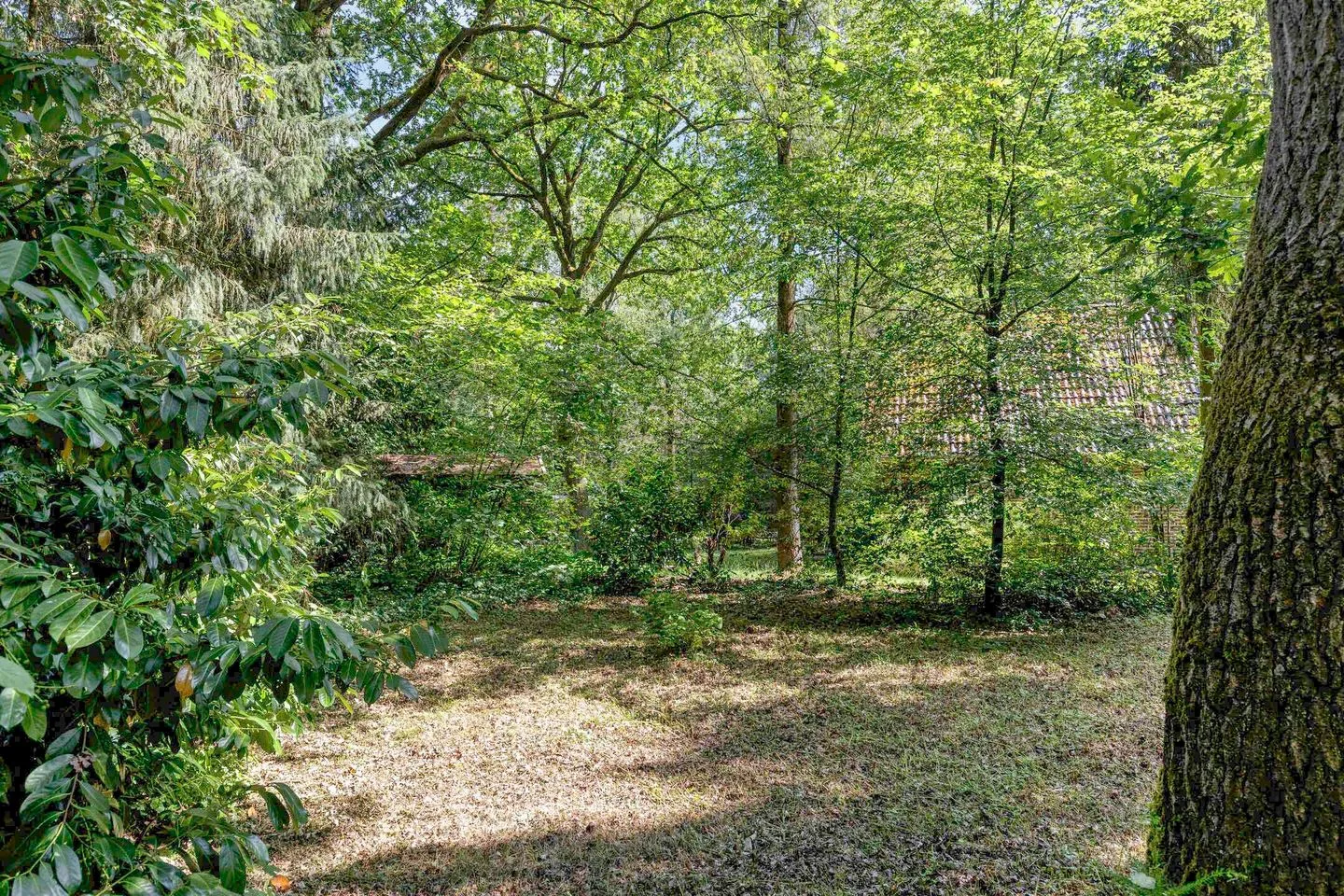 Ruurloseweg 30 V 68 Zelhem thumbnail 26