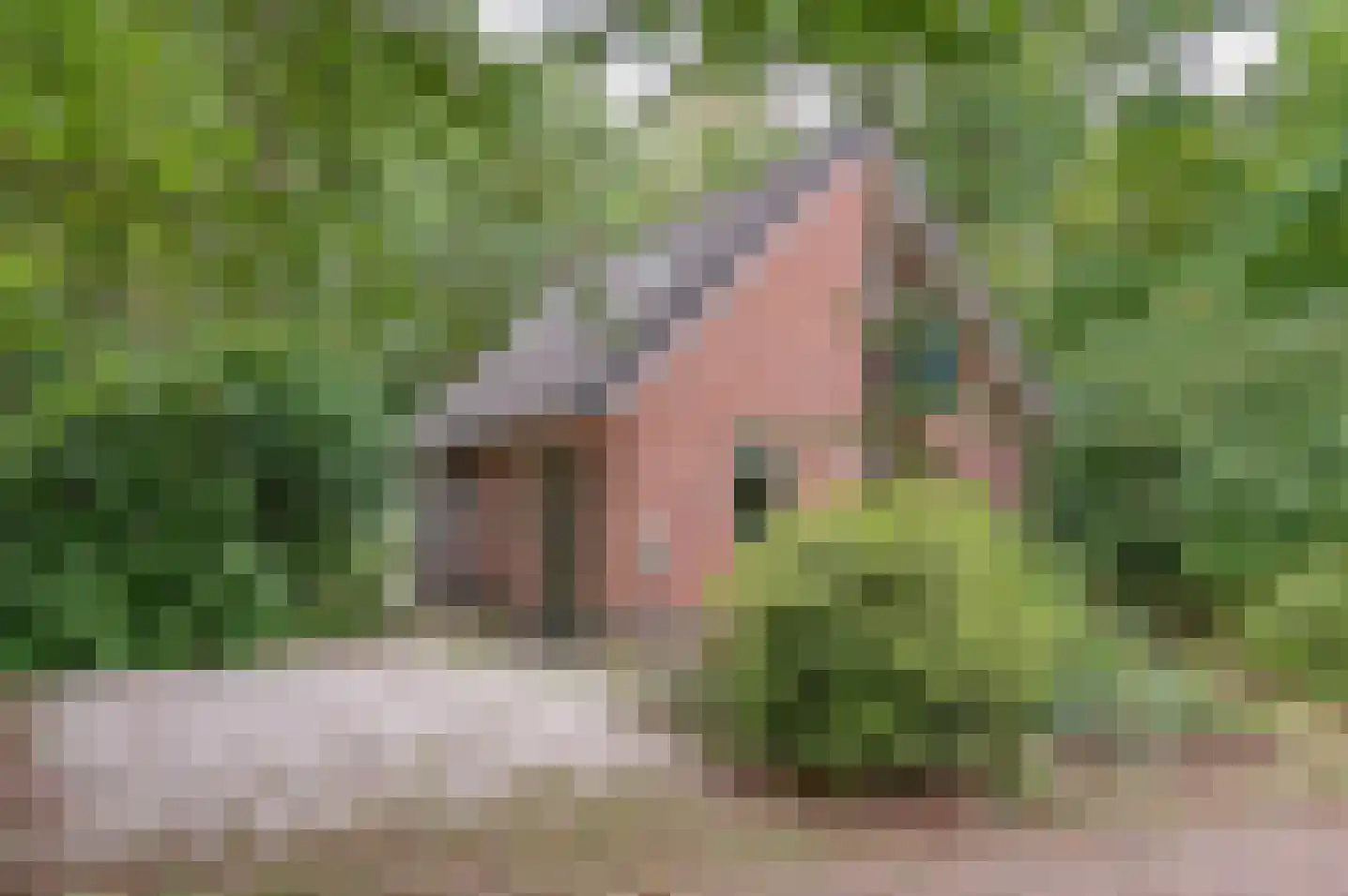 Ruurloseweg 30 V 75 Zelhem thumbnail 11