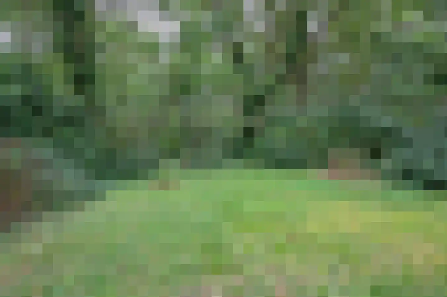 Ruurloseweg 30 V 75 Zelhem thumbnail 44