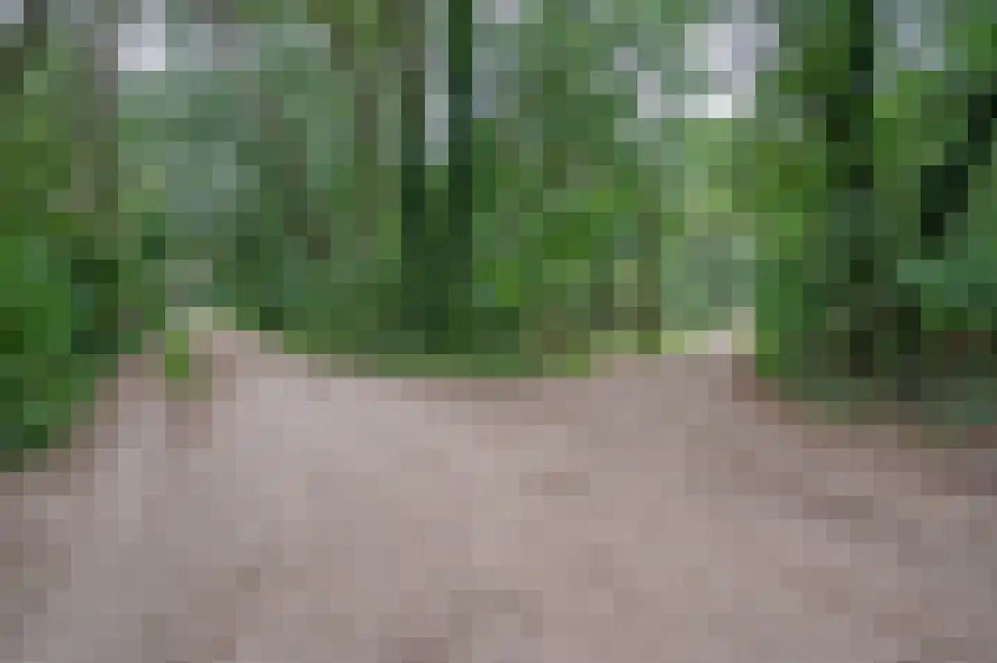 Ruurloseweg 30 V 75 Zelhem thumbnail 5