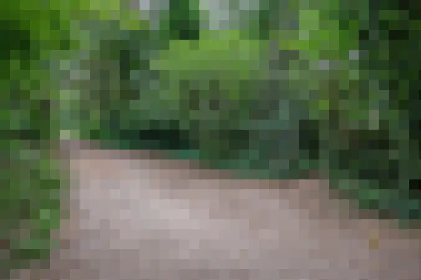 Ruurloseweg 30 V 75 Zelhem thumbnail 6
