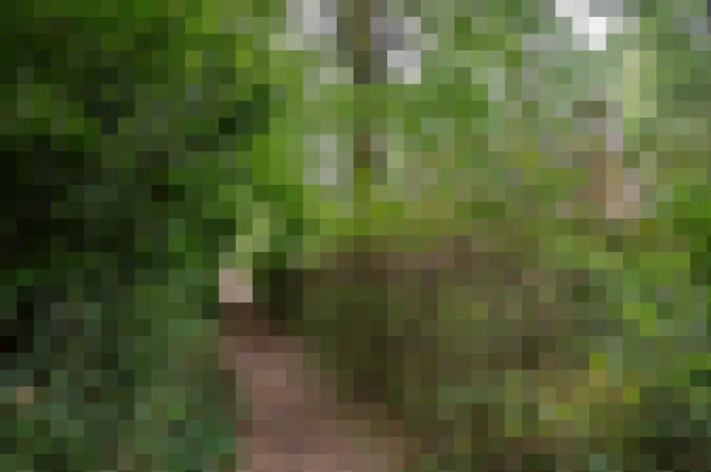 Ruurloseweg 30 V 75 Zelhem thumbnail 7