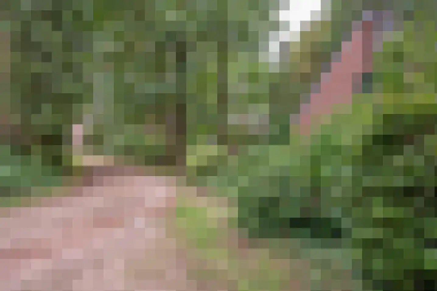 Ruurloseweg 30 V 75 Zelhem thumbnail 8