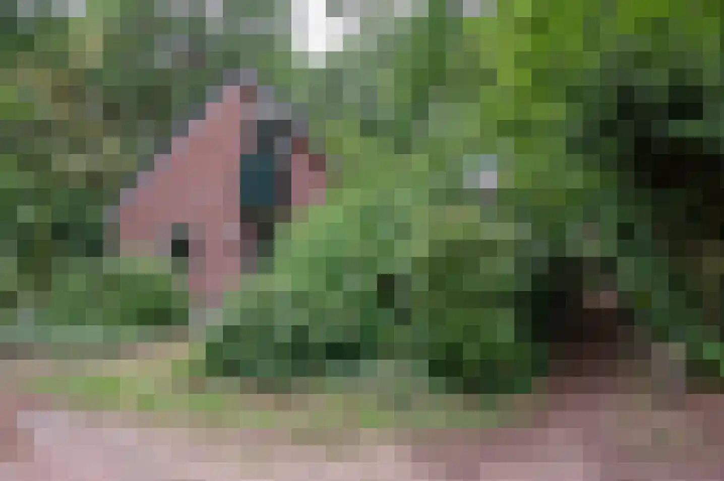 Ruurloseweg 30 V 75 Zelhem thumbnail 9