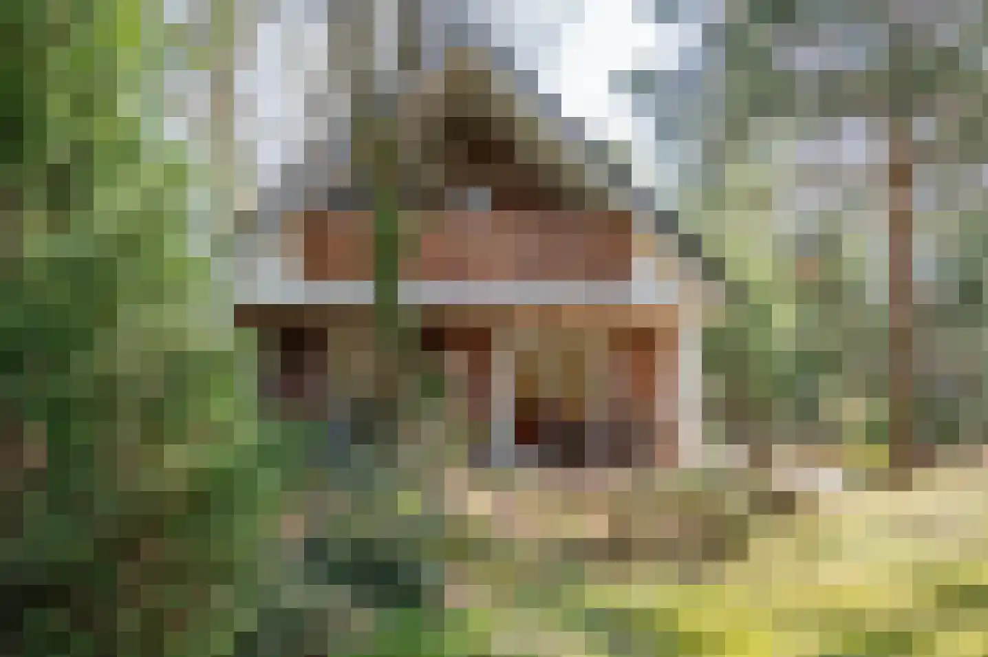 Ruurloseweg 30 V 86 in Zelhem